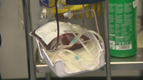 Lab-grown blood cells 'ready for transfusion by 2017'